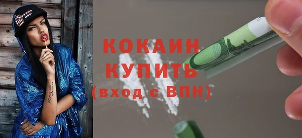 стафф Алексин