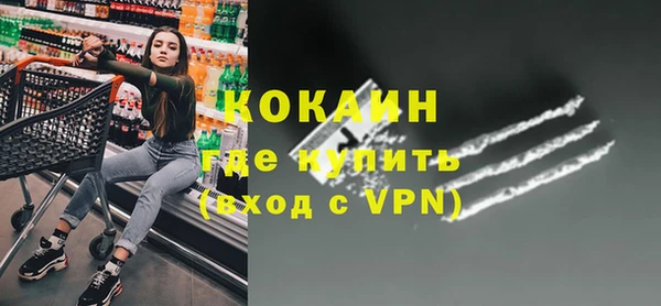 стафф Алексин