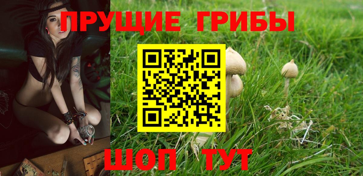 Галлюциногенные грибы Cubensis  Вход с VPN  Тюмень  как найти наркотики  Галлюциногенные грибы Psilocybe 